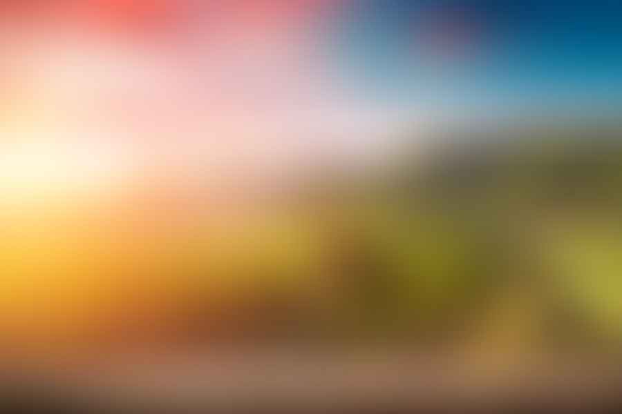 Italian vineyard sunset tour