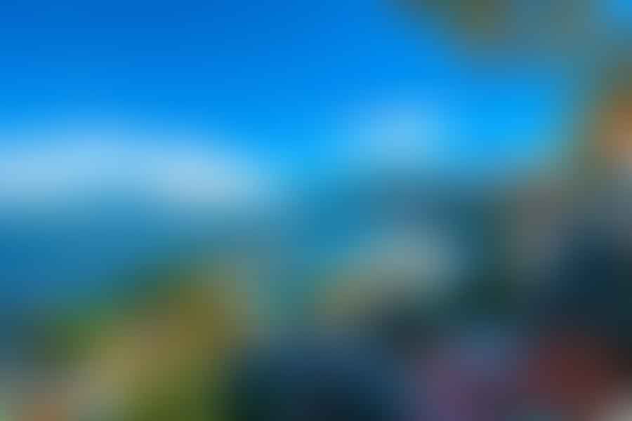 Scenic view of the Sorrento coastline with clear blue sea and vibrant cityscape